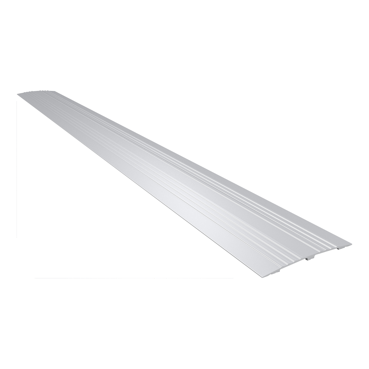 SecuCare Threshold replacement strip